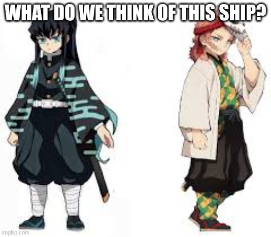 ? | WHAT DO WE THINK OF THIS SHIP? | image tagged in demon slayer | made w/ Imgflip meme maker