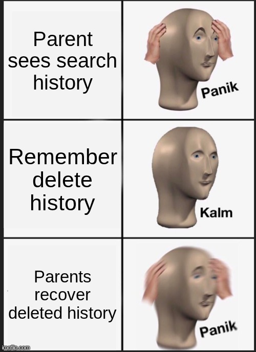 Parents wants to see your search history | Parent sees search history; Remember delete history; Parents recover deleted history | image tagged in memes,panik kalm panik | made w/ Imgflip meme maker