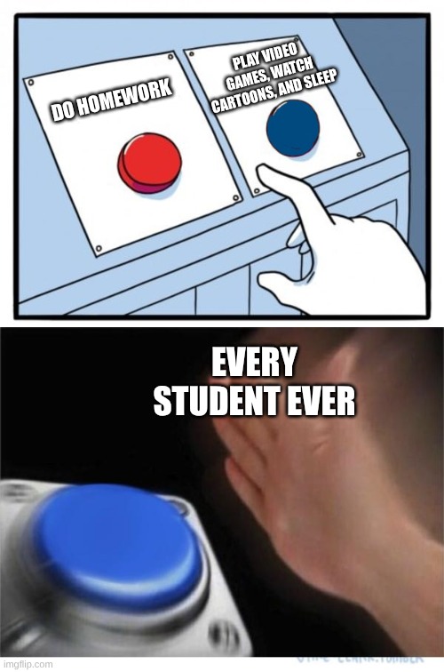 two buttons 1 blue | PLAY VIDEO GAMES, WATCH CARTOONS, AND SLEEP; DO HOMEWORK; EVERY STUDENT EVER | image tagged in two buttons 1 blue | made w/ Imgflip meme maker
