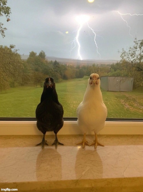 Tuff | made w/ Imgflip meme maker