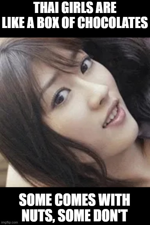 Thai Girls | THAI GIRLS ARE LIKE A BOX OF CHOCOLATES; SOME COMES WITH NUTS, SOME DON'T | image tagged in rainey 25 | made w/ Imgflip meme maker