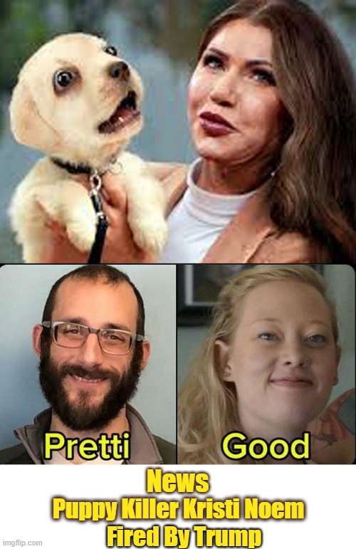 YOU'RE FIRED!!! | News; Puppy Killer Kristi Noem; Fired By Trump | image tagged in kristi noem,puppy killer,you are fired | made w/ Imgflip meme maker