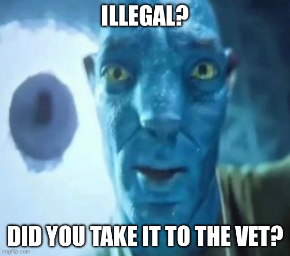 Y tho? | ILLEGAL? DID YOU TAKE IT TO THE VET? | image tagged in avatar guy | made w/ Imgflip meme maker