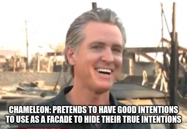 Gavin Newsom | CHAMELEON: PRETENDS TO HAVE GOOD INTENTIONS TO USE AS A FACADE TO HIDE THEIR TRUE INTENTIONS | image tagged in gavin newsom | made w/ Imgflip meme maker