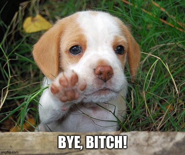 BYE, BITCH! | image tagged in dog puppy bye | made w/ Imgflip meme maker