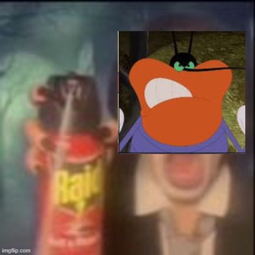 This stream irl: | image tagged in maliciously sprays you with raid,dee dee | made w/ Imgflip meme maker
