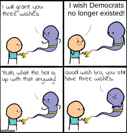Controversial meme I felt like making | I wish Democrats no longer existed! | image tagged in 3 wishes | made w/ Imgflip meme maker