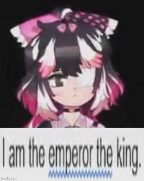 emperor the king | image tagged in emperor the king | made w/ Imgflip meme maker