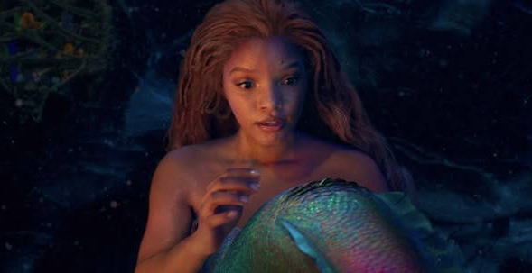 Ariel's tail Blank Meme Template