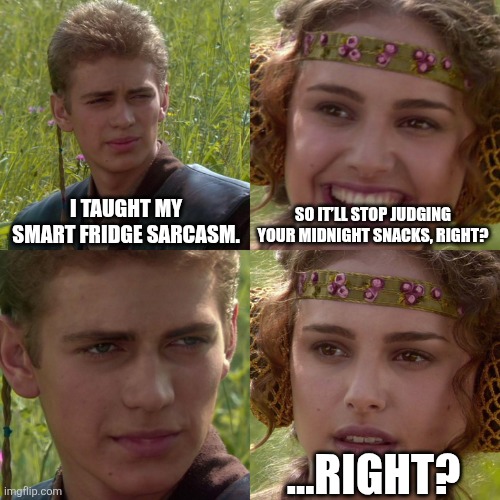 So true | I TAUGHT MY SMART FRIDGE SARCASM. SO IT’LL STOP JUDGING YOUR MIDNIGHT SNACKS, RIGHT? …RIGHT? | image tagged in anakin padme 4 panel | made w/ Imgflip meme maker