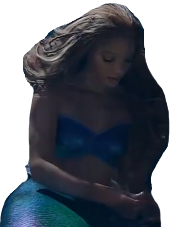 Halle Ariel Blank Meme Template