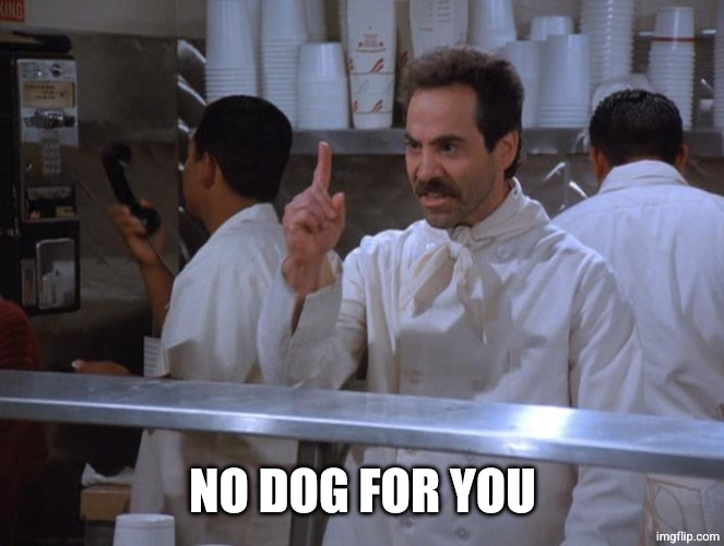 No soup for you | NO DOG FOR YOU | image tagged in no soup for you | made w/ Imgflip meme maker