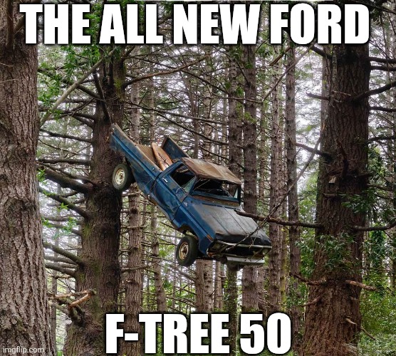 The All New Ford | THE ALL NEW FORD; F-TREE 50 | image tagged in chrisjoines1 | made w/ Imgflip meme maker