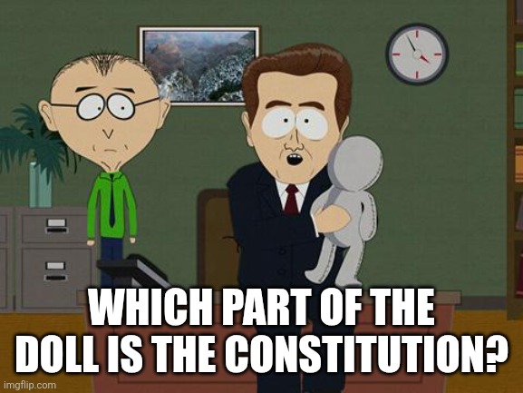 WHICH PART OF THE DOLL IS THE CONSTITUTION? | image tagged in show me on this doll | made w/ Imgflip meme maker