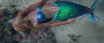 halle body Blank Meme Template