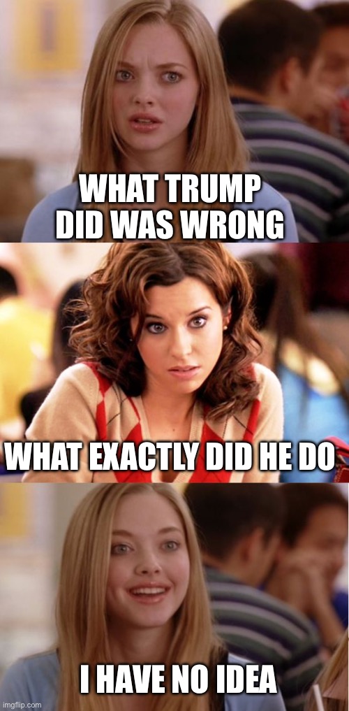 Blonde Pun | WHAT TRUMP DID WAS WRONG WHAT EXACTLY DID HE DO I HAVE NO IDEA | image tagged in blonde pun | made w/ Imgflip meme maker