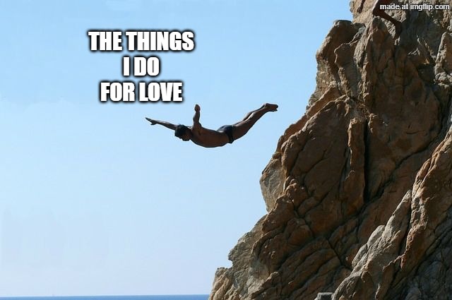 Jumping off a cliff | THE THINGS
I DO
FOR LOVE | image tagged in jumping off a cliff | made w/ Imgflip meme maker