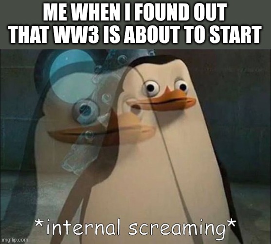 I wish WW3 was fake... | ME WHEN I FOUND OUT THAT WW3 IS ABOUT TO START | image tagged in private internal screaming,ww3 | made w/ Imgflip meme maker