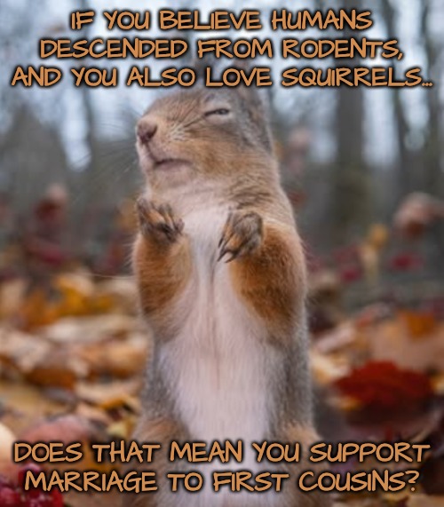 It's like the Habsburgs again | IF YOU BELIEVE HUMANS DESCENDED FROM RODENTS, AND YOU ALSO LOVE SQUIRRELS... DOES THAT MEAN YOU SUPPORT MARRIAGE TO FIRST COUSINS? | image tagged in squirrel,do squirrels have the habsburgs jaw | made w/ Imgflip meme maker