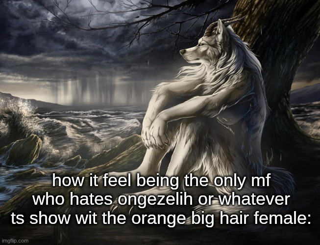 c | how it feel being the only mf who hates ongezelih or whatever ts show wit the orange big hair female: | image tagged in lone wolf | made w/ Imgflip meme maker