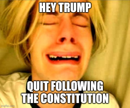 HEY TRUMP QUIT FOLLOWING THE CONSTITUTION | image tagged in leave britney alone | made w/ Imgflip meme maker