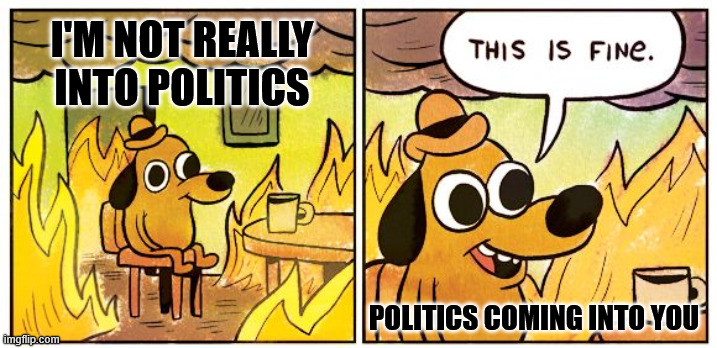 This Is Fine Meme | I'M NOT REALLY INTO POLITICS; POLITICS COMING INTO YOU | image tagged in memes,this is fine | made w/ Imgflip meme maker