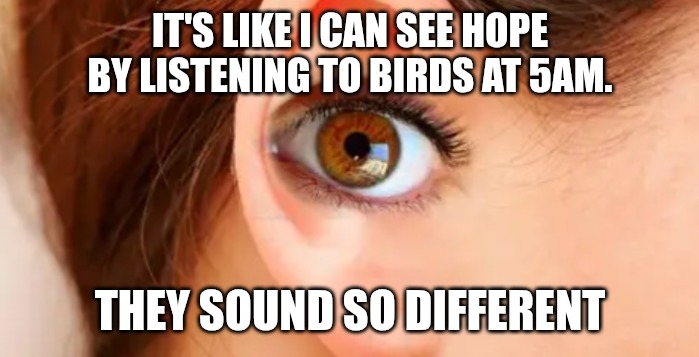 Hear what I see | IT'S LIKE I CAN SEE HOPE BY LISTENING TO BIRDS AT 5AM. THEY SOUND SO DIFFERENT | image tagged in hear what i see | made w/ Imgflip meme maker