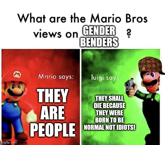 umm | GENDER BENDERS; THEY ARE PEOPLE; THEY SHALL DIE BECAUSE THEY WERE BORN TO BE NORMAL NOT IDIOTS! | image tagged in mario bros views,funny,meme | made w/ Imgflip meme maker