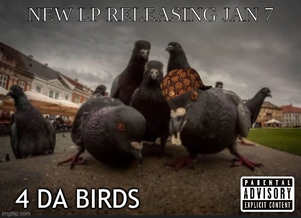 NEW LP RELEASING JAN 7; 4 DA BIRDS | made w/ Imgflip meme maker