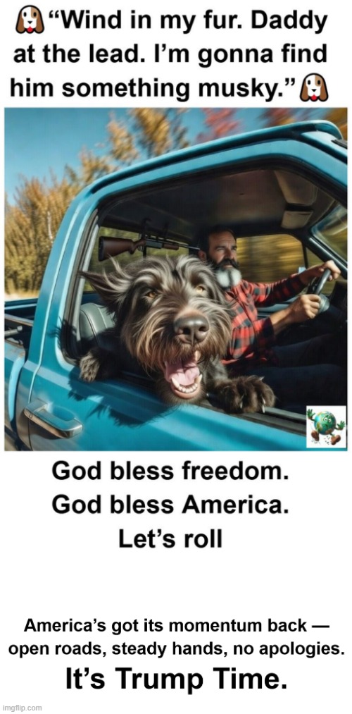 Would you say that the first year of Donald Trump’s second term has been pretty good? | image tagged in maga,conservative,president trump | made w/ Imgflip meme maker