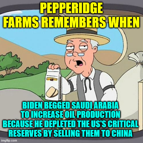 Pepperidge Farm Remembers Meme | PEPPERIDGE FARMS REMEMBERS WHEN BIDEN BEGGED SAUDI ARABIA TO INCREASE OIL PRODUCTION BECAUSE HE DEPLETED THE US'S CRITICAL RESERVES BY SELLI | image tagged in memes,pepperidge farm remembers | made w/ Imgflip meme maker