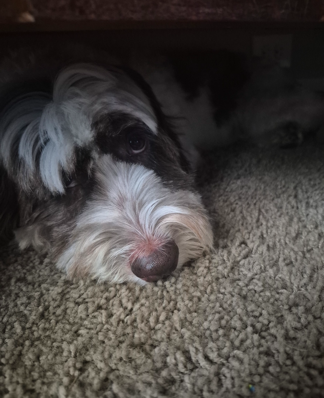 POV: you are single Blank Meme Template