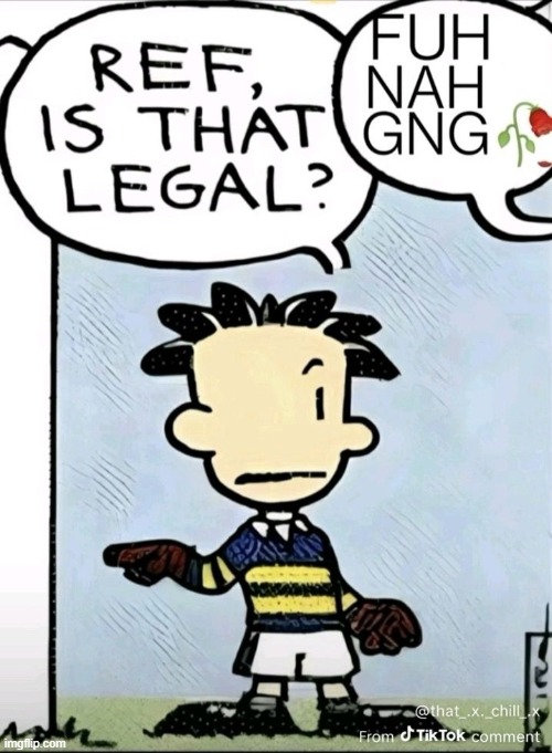 i found this and liked it so i made it a temp | image tagged in ref is that legal | made w/ Imgflip meme maker