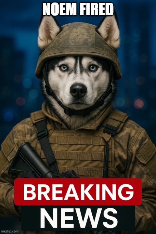 Guess she couldn't defend her affairs...smh | NOEM FIRED | image tagged in husky soldier breaking news template | made w/ Imgflip meme maker