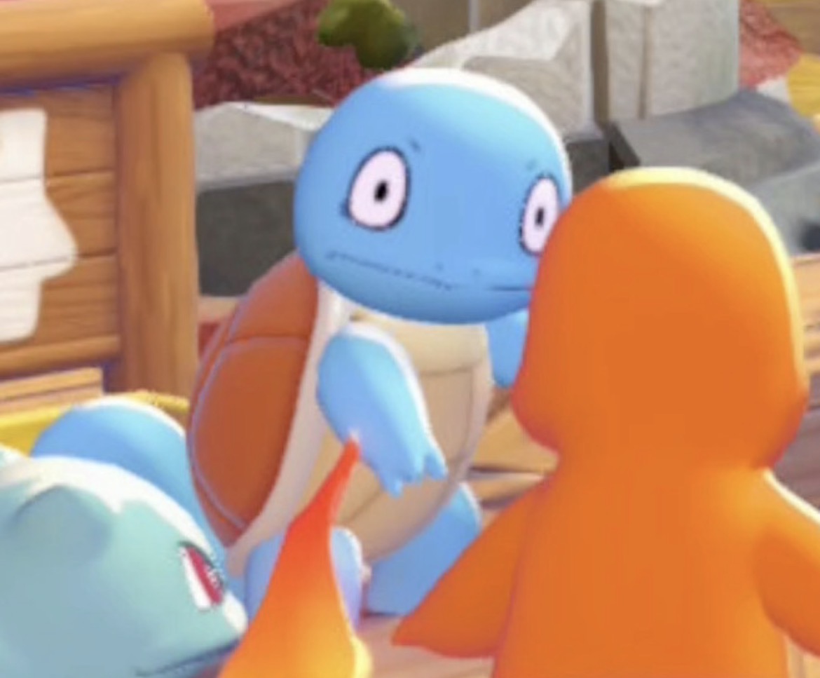 Squirtle Face Blank Meme Template