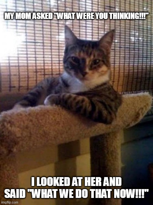 Cornball | MY MOM ASKED "WHAT WERE YOU THINKING!!!"; I LOOKED AT HER AND SAID "WHAT WE DO THAT NOW!!!" | image tagged in memes,the most interesting cat in the world | made w/ Imgflip meme maker