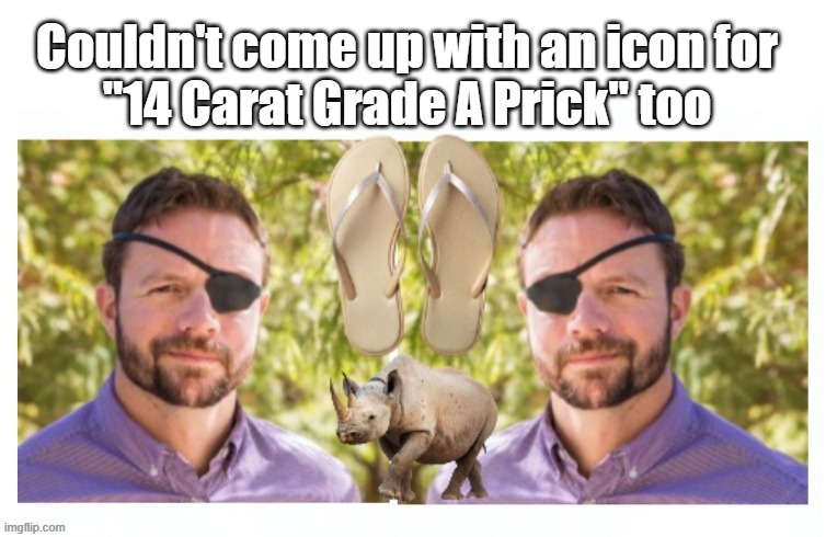 Good Riddance | Couldn't come up with an icon for
"14 Carat Grade A Prick" too | image tagged in dan crenshaw rino flip flopper meme | made w/ Imgflip meme maker