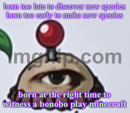 the potato | born too late to discover new species
born too early to make new species; born at the right time to witness a bonobo play minecraft | image tagged in the potato | made w/ Imgflip meme maker