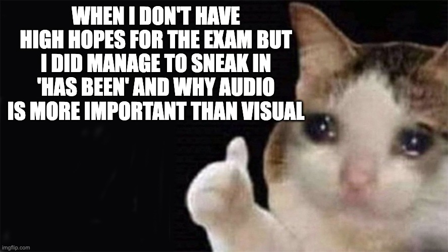 visual exam | WHEN I DON'T HAVE HIGH HOPES FOR THE EXAM BUT I DID MANAGE TO SNEAK IN 'HAS BEEN' AND WHY AUDIO IS MORE IMPORTANT THAN VISUAL | image tagged in thumbs up crying cat | made w/ Imgflip meme maker