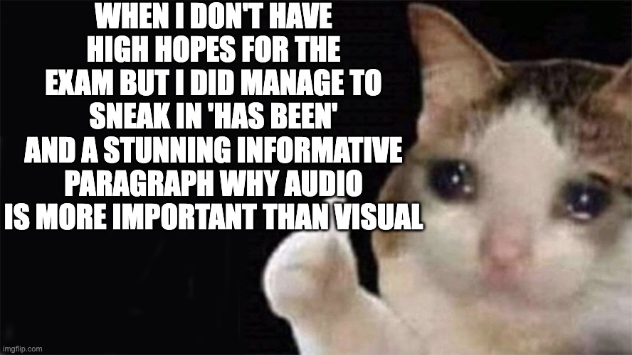version two exam has been hard | WHEN I DON'T HAVE HIGH HOPES FOR THE EXAM BUT I DID MANAGE TO SNEAK IN 'HAS BEEN' AND A STUNNING INFORMATIVE PARAGRAPH WHY AUDIO IS MORE IMPORTANT THAN VISUAL | image tagged in thumbs up crying cat | made w/ Imgflip meme maker