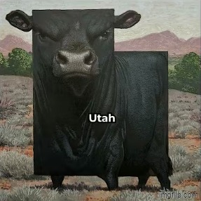 Utah | image tagged in utah | made w/ Imgflip meme maker