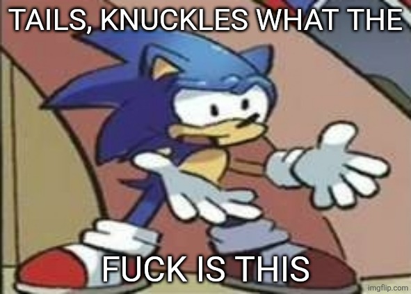 What? | TAILS, KNUCKLES WHAT THE FUCK IS THIS | image tagged in what | made w/ Imgflip meme maker
