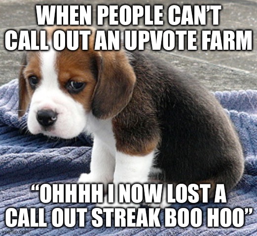 sad dog | WHEN PEOPLE CAN’T CALL OUT AN UPVOTE FARM “OHHHH I NOW LOST A CALL OUT STREAK BOO HOO” | image tagged in sad dog | made w/ Imgflip meme maker