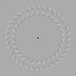 ILLUSION Blank Meme Template