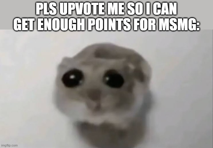 please guys i need this | PLS UPVOTE ME SO I CAN GET ENOUGH POINTS FOR MSMG: | image tagged in sad hampster,memes,upvote,begging,please | made w/ Imgflip meme maker