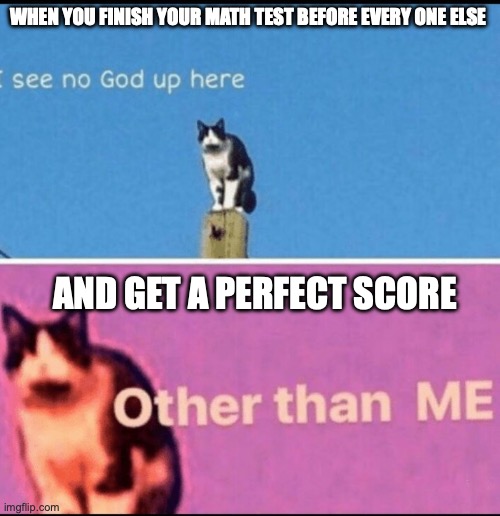 I see no god up here other than me | WHEN YOU FINISH YOUR MATH TEST BEFORE EVERY ONE ELSE; AND GET A PERFECT SCORE | image tagged in i see no god up here other than me | made w/ Imgflip meme maker