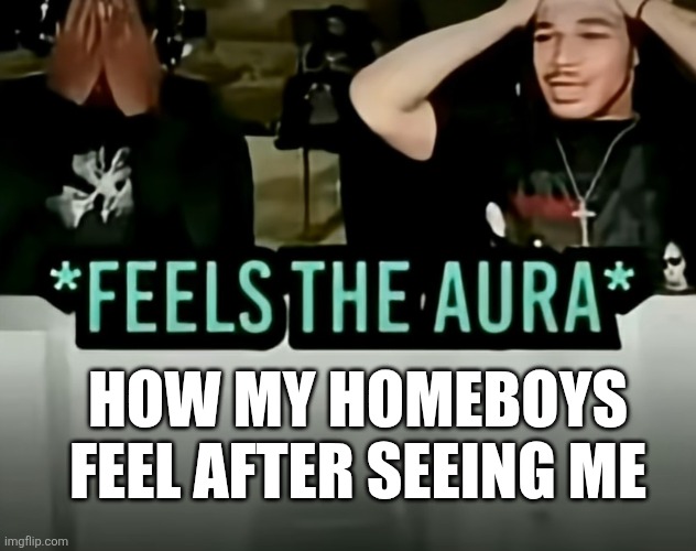 Aura | HOW MY HOMEBOYS FEEL AFTER SEEING ME | image tagged in aura | made w/ Imgflip meme maker
