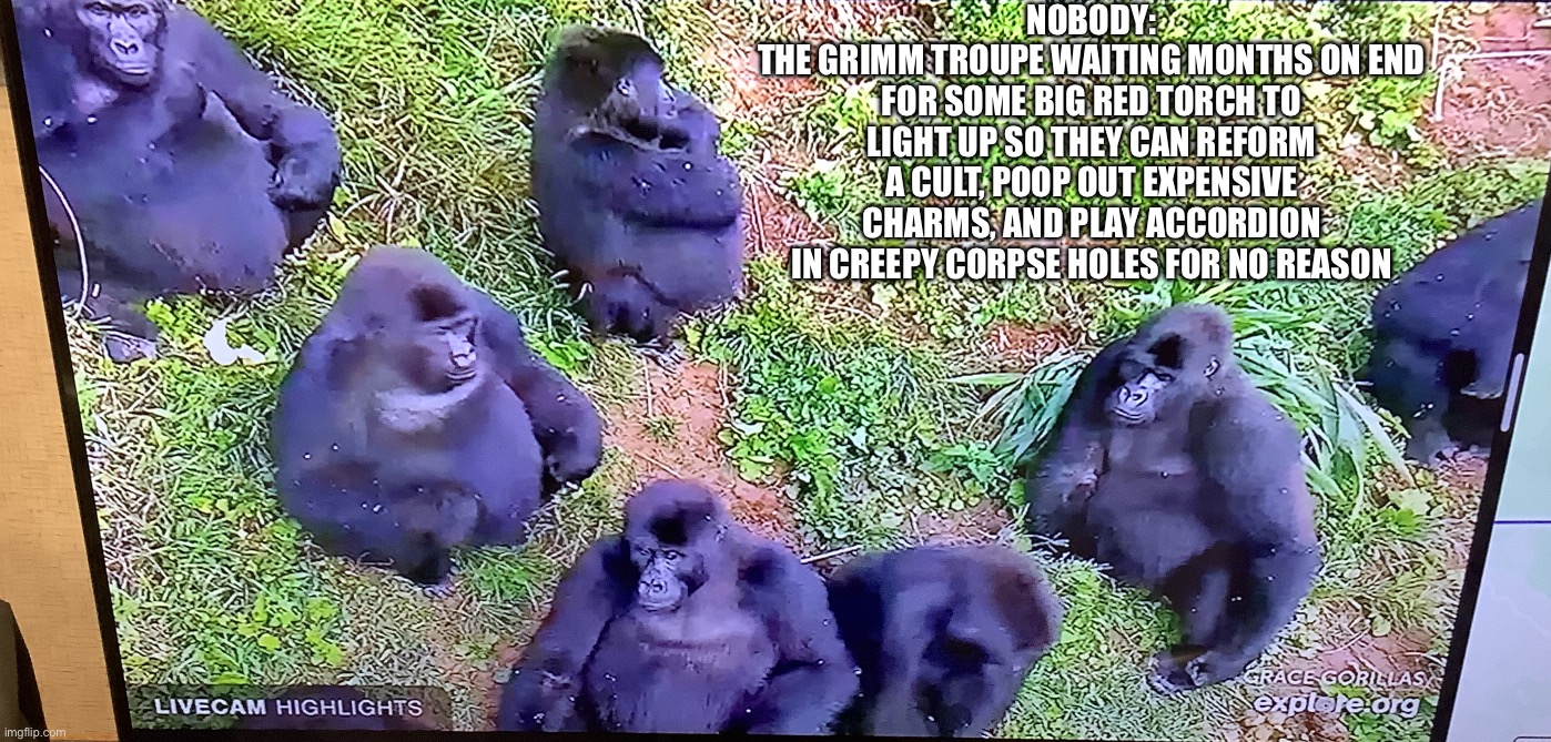 Gorilla Gorchilla Gang | NOBODY:
THE GRIMM TROUPE WAITING MONTHS ON END FOR SOME BIG RED TORCH TO LIGHT UP SO THEY CAN REFORM A CULT, POOP OUT EXPENSIVE CHARMS, AND PLAY ACCORDION IN CREEPY CORPSE HOLES FOR NO REASON | image tagged in gorilla gorchilla gang | made w/ Imgflip meme maker