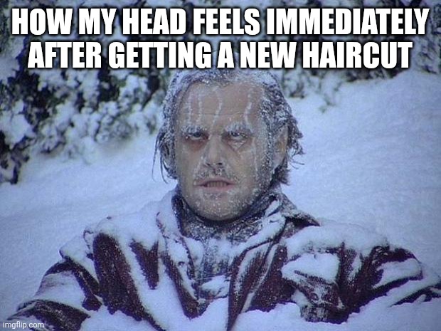 Does this happen to y'all too? | HOW MY HEAD FEELS IMMEDIATELY AFTER GETTING A NEW HAIRCUT | image tagged in memes,jack nicholson the shining snow,haircut,cold,head,hair | made w/ Imgflip meme maker