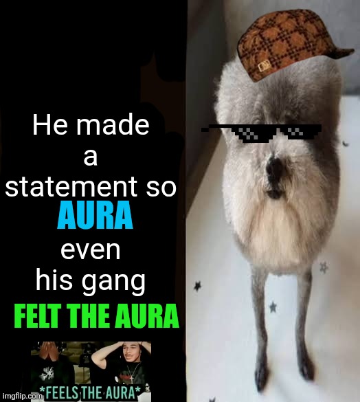 Aura | He made a statement so            
even his gang; AURA; FELT THE AURA | image tagged in he made a statement blank | made w/ Imgflip meme maker